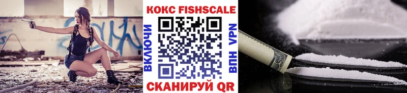 Кокаин Fish Scale  даркнет сайт  Артём 